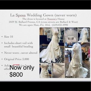 La Sposa Wedding Gown (never worn)